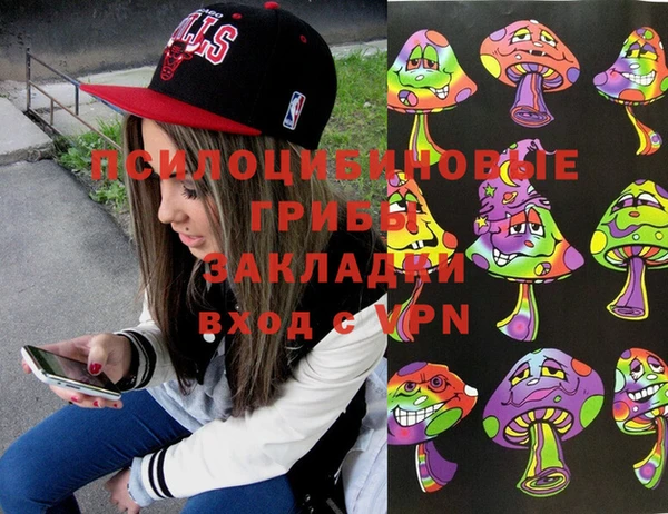 гашик Алзамай